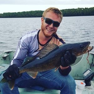 Meet your Posher, Logan